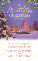 book cover for A Mistletoe Christmas