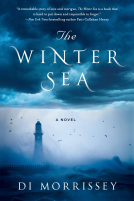 book cover for The Winter Sea
