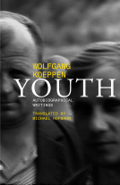 book cover for Youth