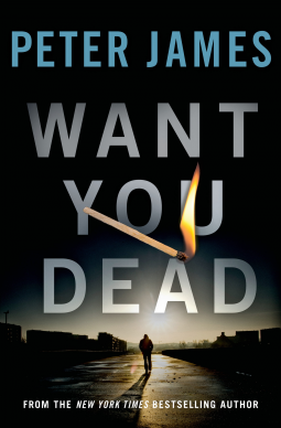 book cover for Want You Dead