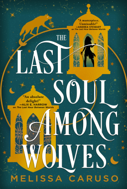 book cover for The Last Soul Among Wolves