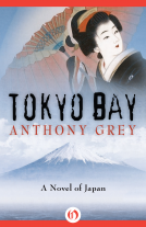 book cover for Tokyo Bay