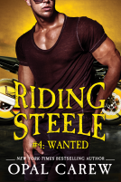 book cover for Riding Steele #4: Wanted