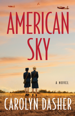 book cover for American Sky
