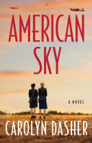book cover for American Sky