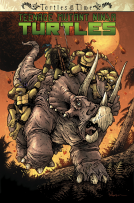 book cover for Teenage Mutant Ninja Turtles: Turtles in Time