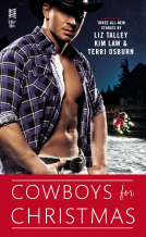 book cover for Cowboys for Christmas