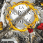 Couverture du livre pour La Couronne d'os dorés