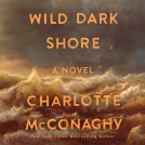 book cover for Wild Dark Shore