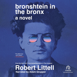 book cover for Bronshtein in the Bronx