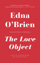 book cover for The Love Object