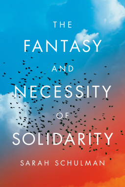 book cover for The Fantasy and Necessity of Solidarity