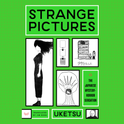 book cover for Strange Pictures