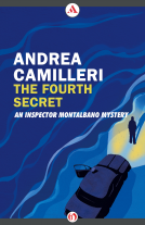 book cover for The Fourth Secret