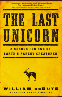 book cover for The Last Unicorn