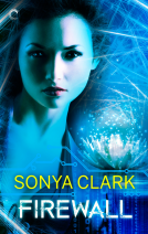book cover for Firewall