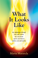 book cover for What It Looks Like