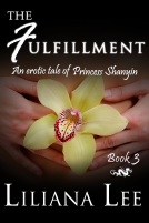 book cover for The Fulfillment