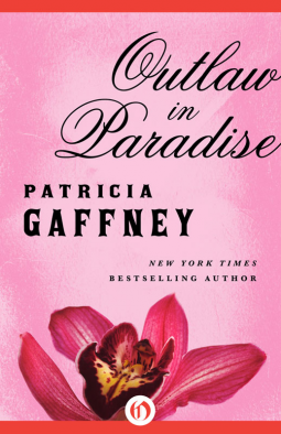 book cover for Outlaw in Paradise