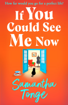 book cover for If You Could See Me Now