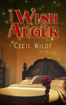 book cover for The Wish Augur