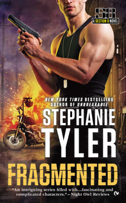 book cover for Fragmented