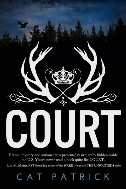 book cover for Court