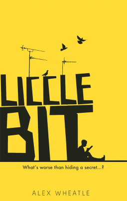 book cover for Liccle Bit