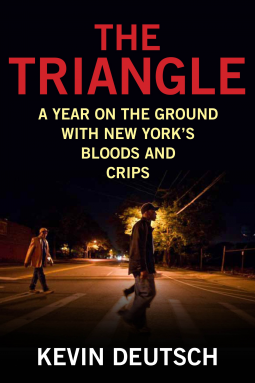 book cover for The Triangle