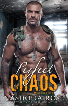 book cover for Perfect Chaos