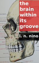 book cover for The Brain within its Groove