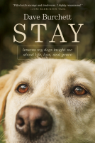 book cover for Stay