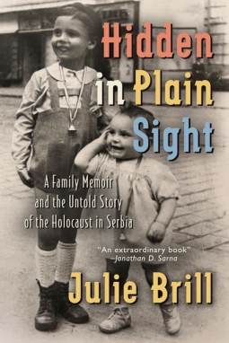 book cover for Hidden in Plain Sight