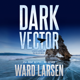 book cover for Dark Vector