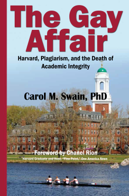 book cover for The Gay Affair