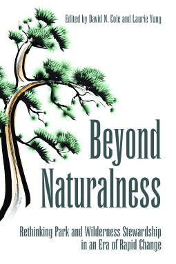 book cover for Beyond Naturalness