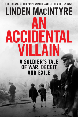 book cover for An Accidental Villain