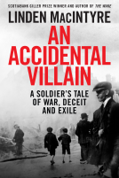 book cover for An Accidental Villain