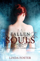book cover for Fallen Souls