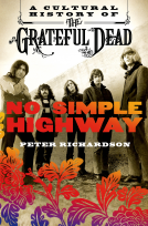 book cover for No Simple Highway