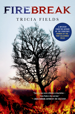 book cover for Firebreak