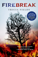 book cover for Firebreak