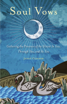 book cover for Soul Vows