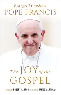 book cover for The Joy of the Gospel (Specially Priced Hardcover Edition)