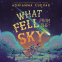 Cover Image: What Fell From the Sky