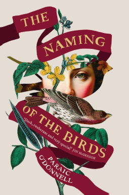 book cover for The Naming of the Birds