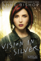 book cover for Vision in Silver