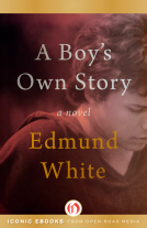 book cover for A Boy's Own Story