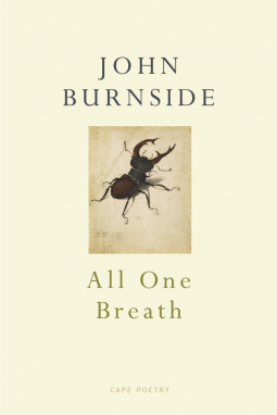 book cover for All One Breath