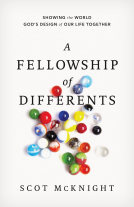 book cover for A Fellowship of Differents